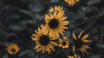 04D5B426-1A1D-4121-A740-1DC0EA5BA522/L0/001