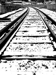 564115