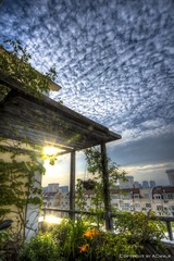 _DSC4019_20_21_22_tonemapped.jpg