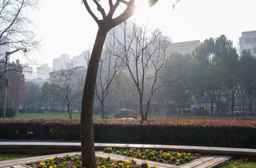 L1031403-1.jpg