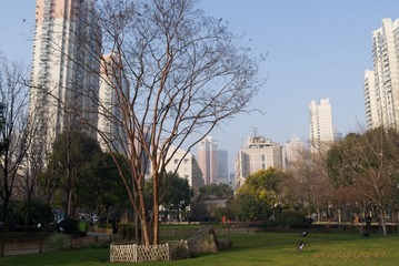 L1031407-1.jpg