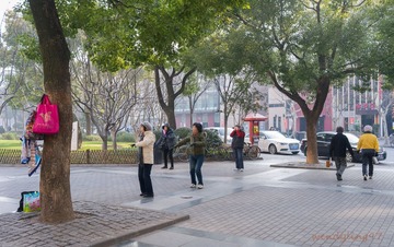L1031420-1.jpg