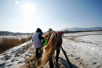 照片 115.jpg