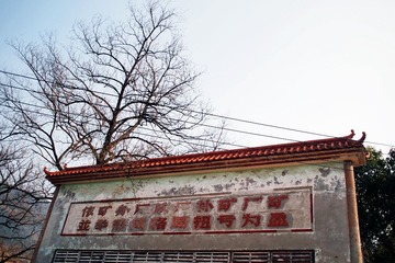 P1293373.jpg