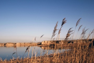 _MG_7034.jpg