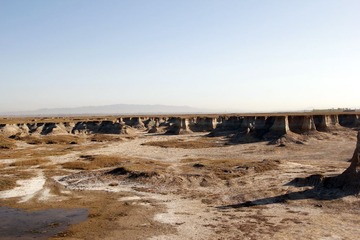_MG_7080.jpg