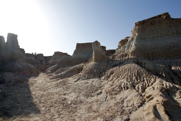 _MG_7123.jpg