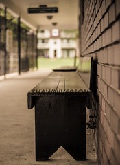IMG_0119.jpg