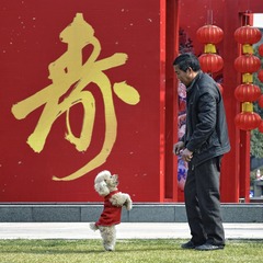 《拜寿》.jpg