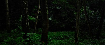 SDIM1604