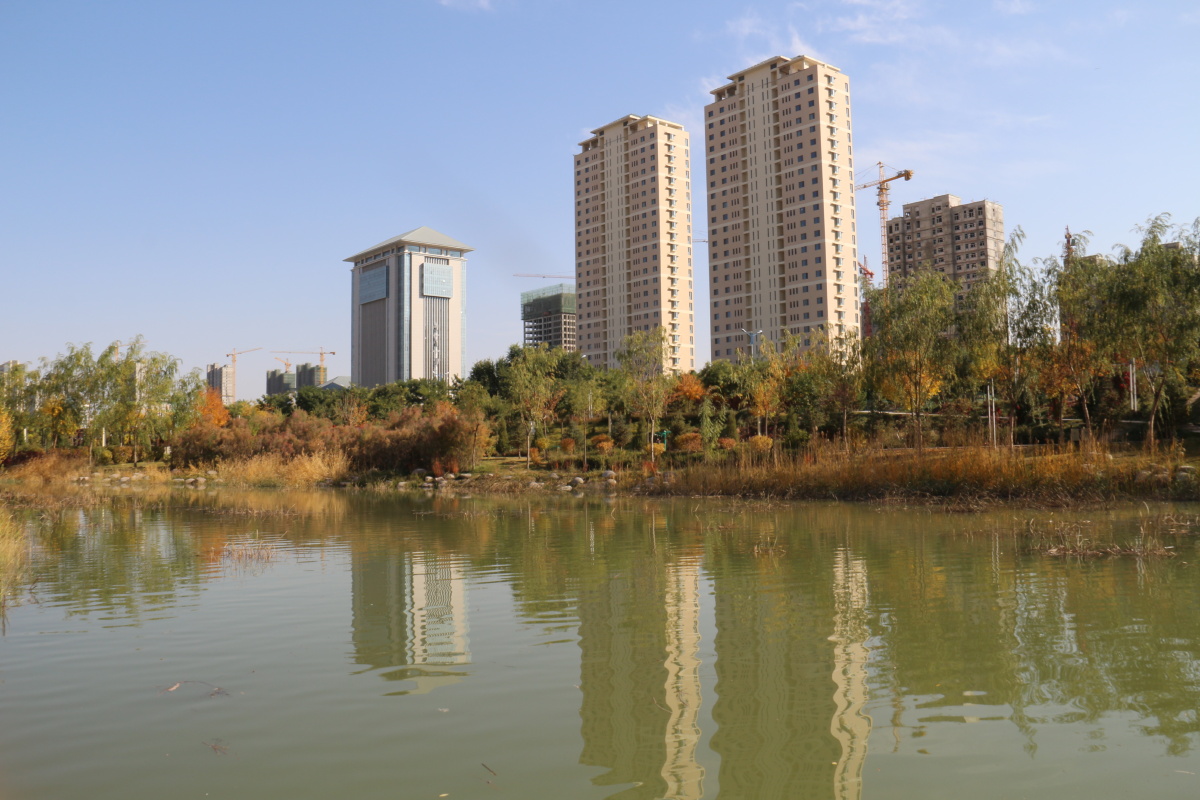 武威市海藏寺湿地公园风光二