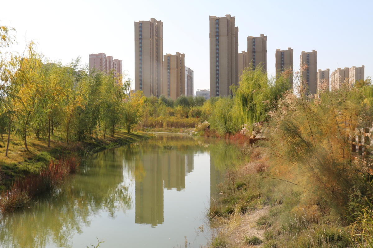 武威市海藏寺湿地公园风光二