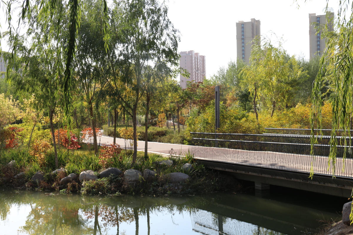 武威市海藏寺湿地公园风光二
