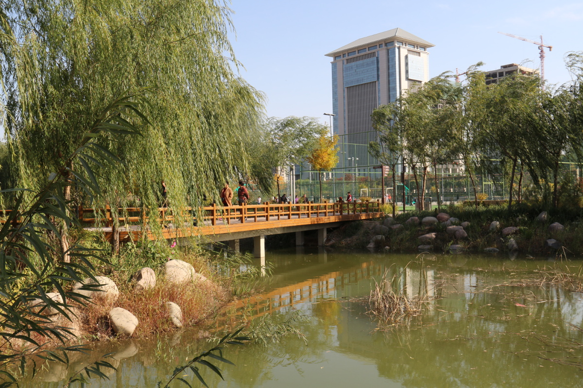 武威市海藏寺湿地公园风光二