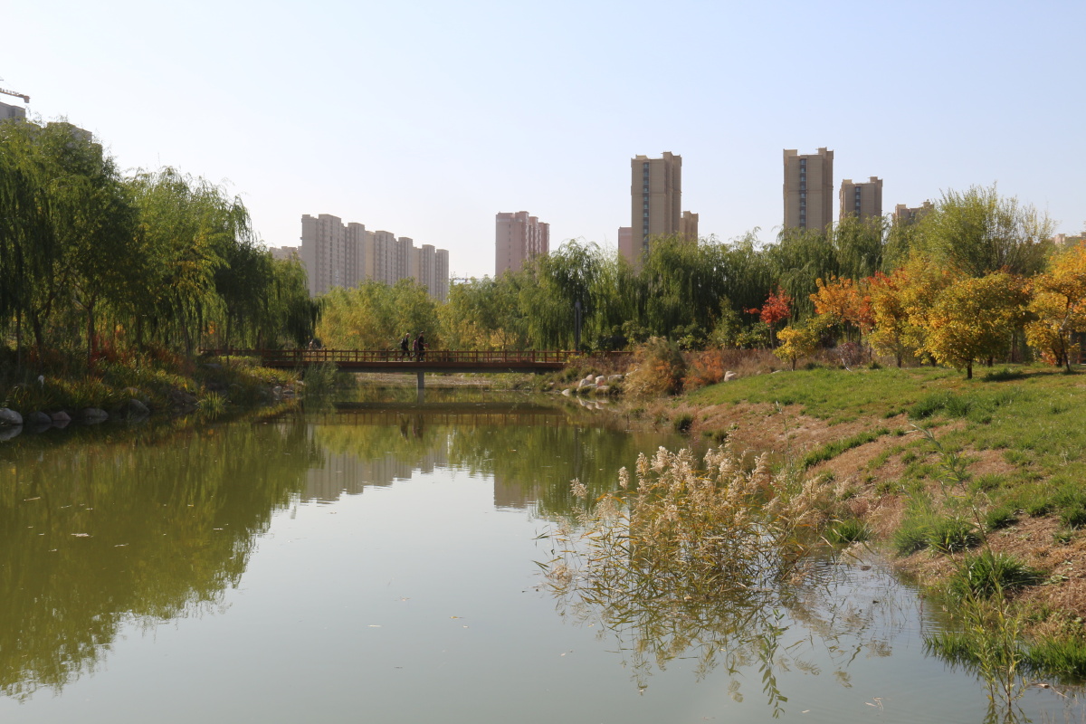 武威市海藏寺湿地公园风光二