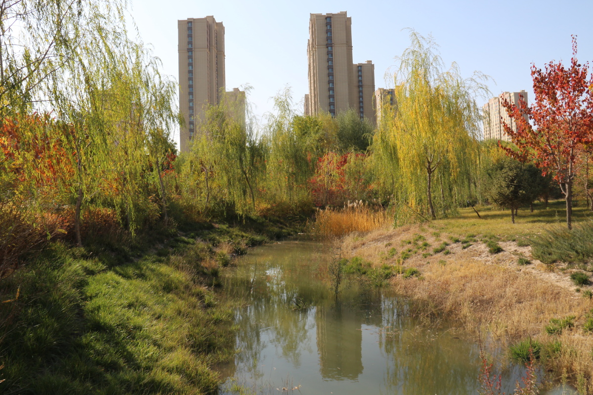 武威市海藏寺湿地公园风光二