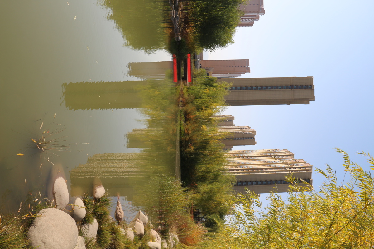 武威市海藏寺湿地公园风光二
