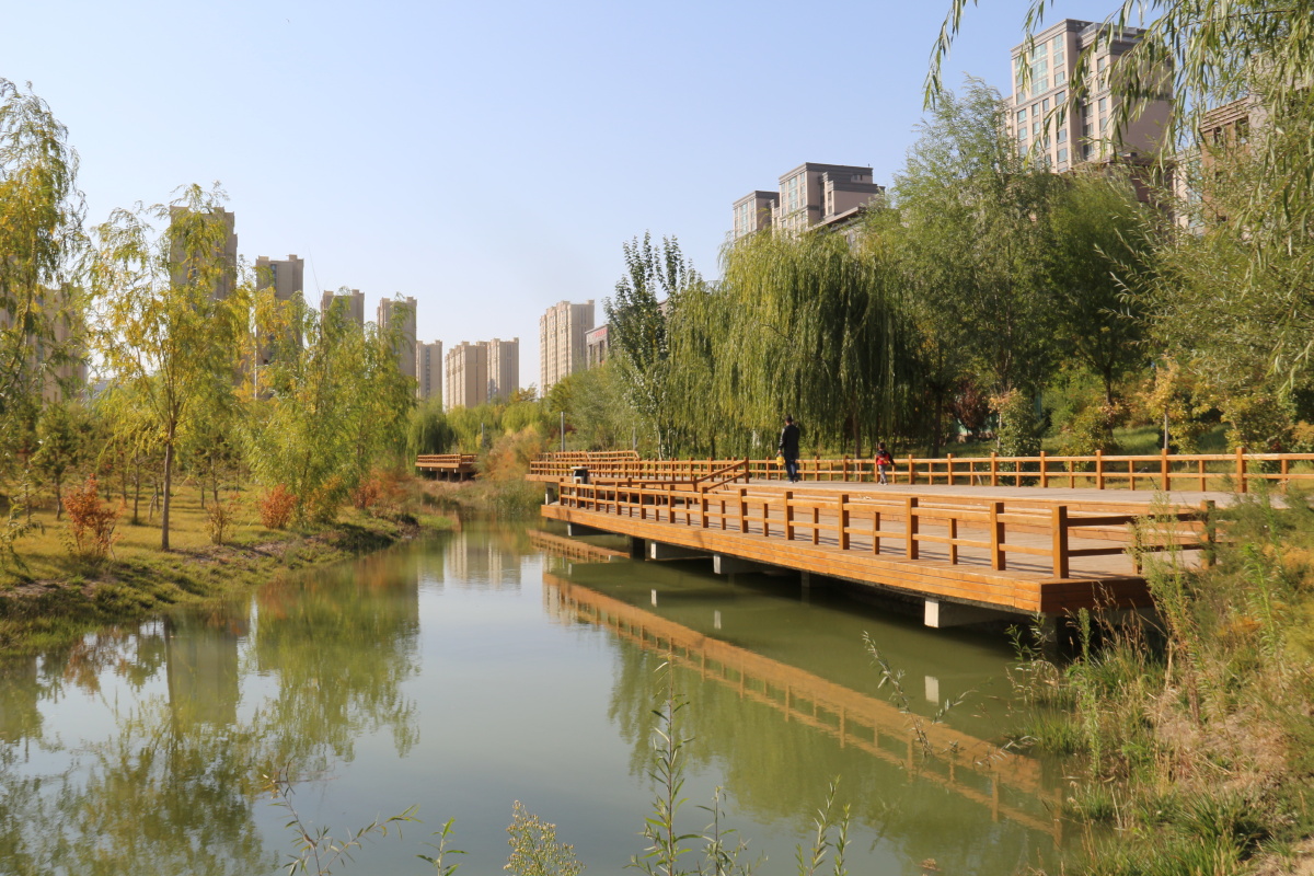 武威市海藏寺湿地公园风光二