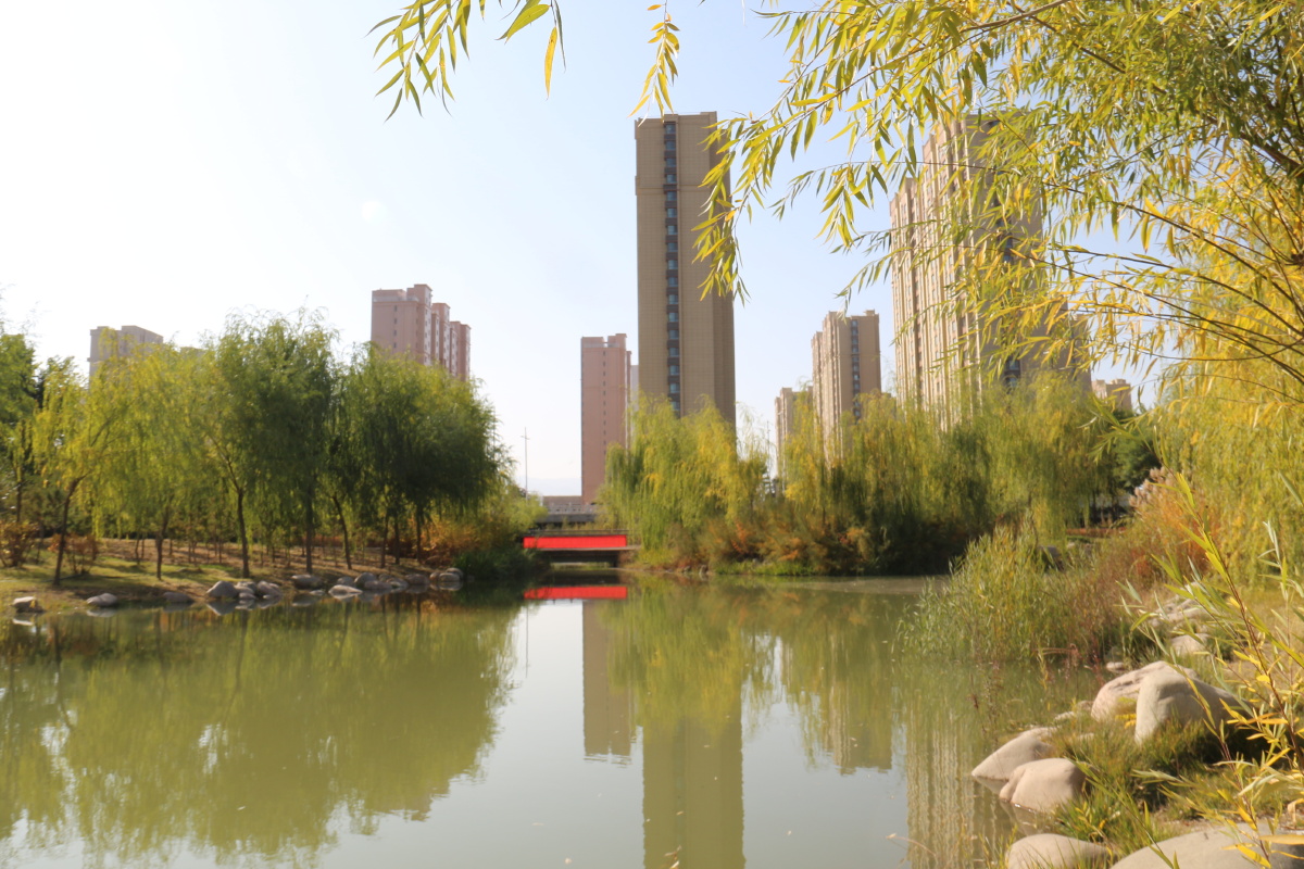 武威市海藏寺湿地公园风光二