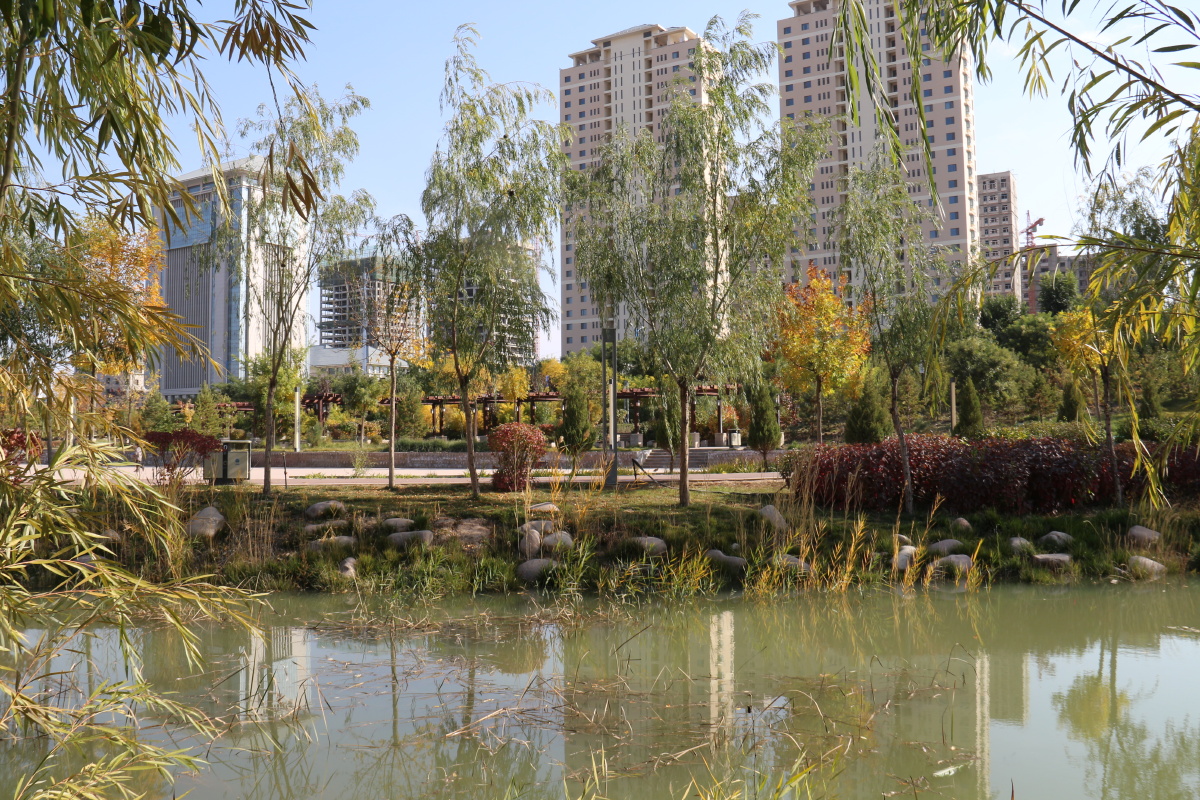 武威市海藏寺湿地公园风光二