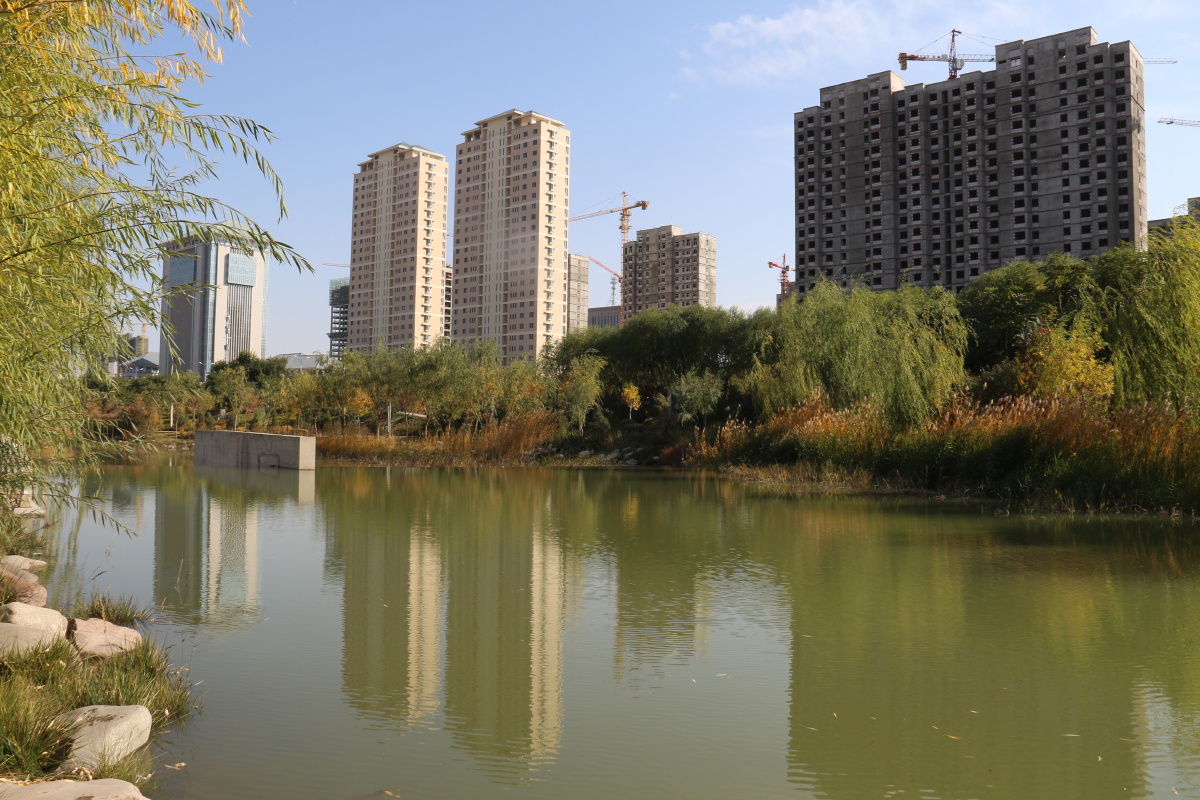 武威市海藏寺湿地公园风光二