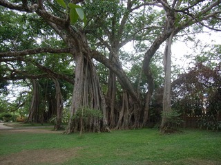 RIMG0459.JPG