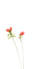 640F50B7-BE0D-4A42-8A61-BD9C3DE0C441/L0/001