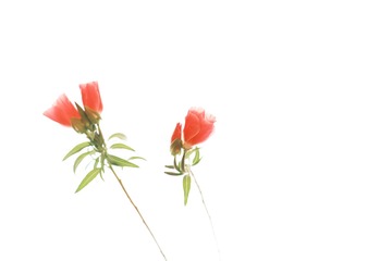 0D8F8DF5-C64A-40DD-96C5-75226C6FECC8/L0/001