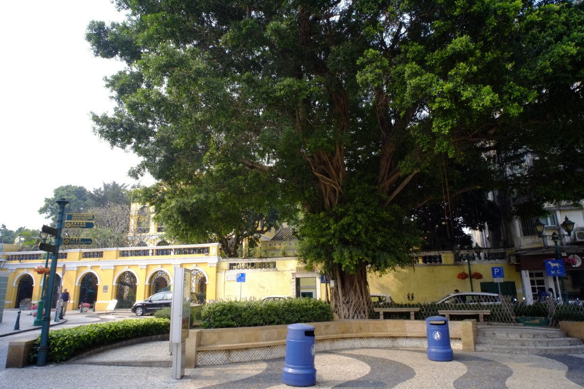 岗顶前地澳门世遗一日游第14站