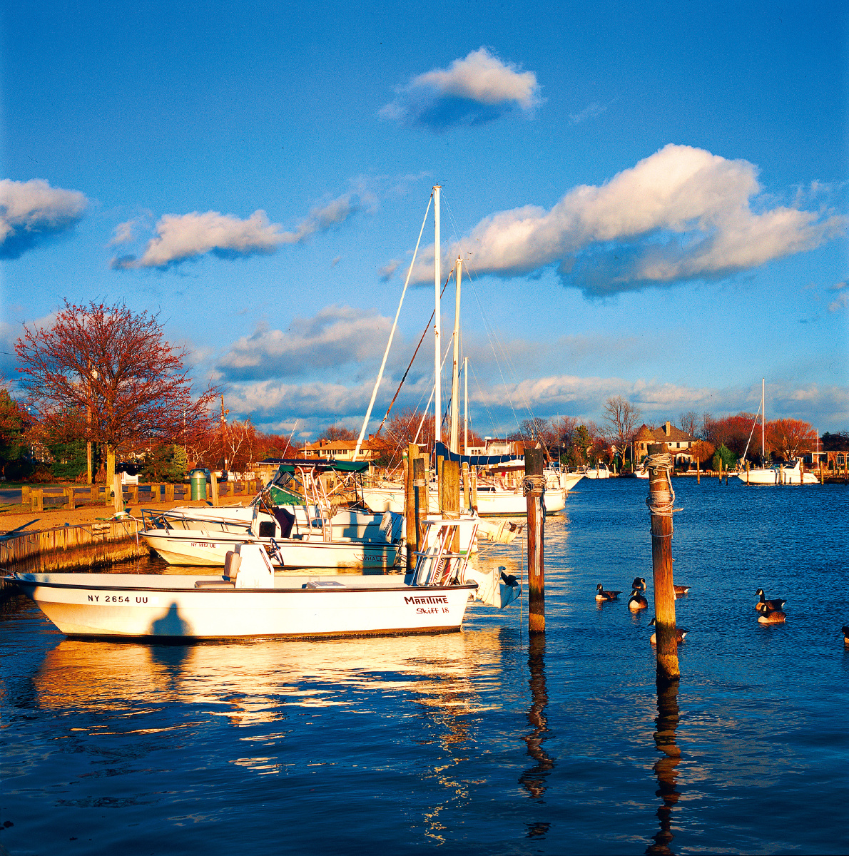 纽约-长岛-黄春华摄 br />