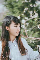 鲤鱼山公园的春天-小康 (2)