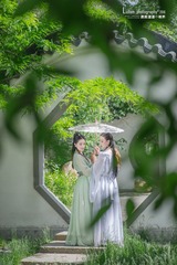 筑春园双生花 (4)