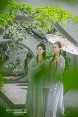 筑春园双生花 (7)