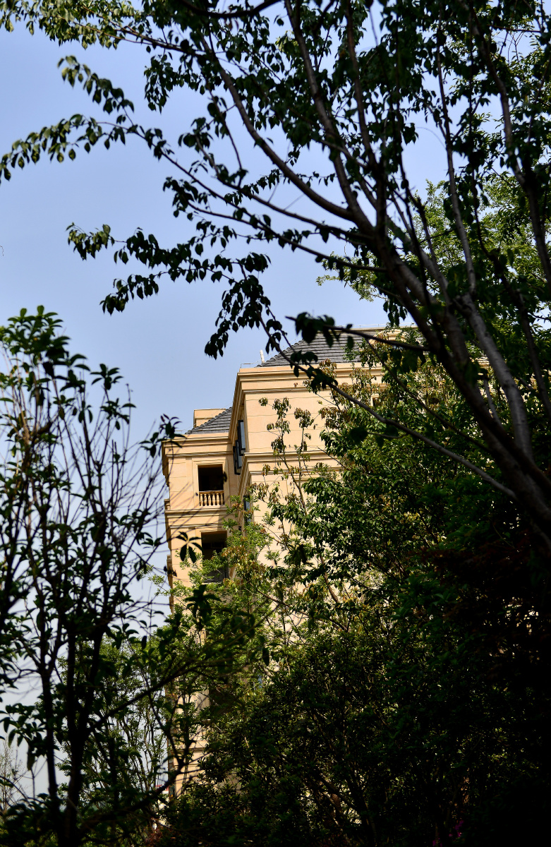 复地御钟山的外立面 br />