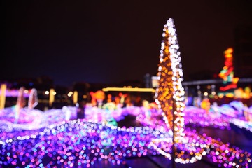 IMG_1447.JPG