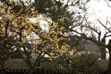 IMG_1502.JPG
