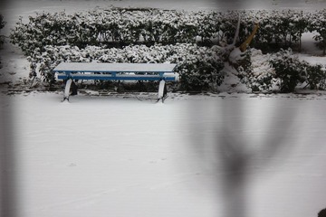 IMG_6539.JPG