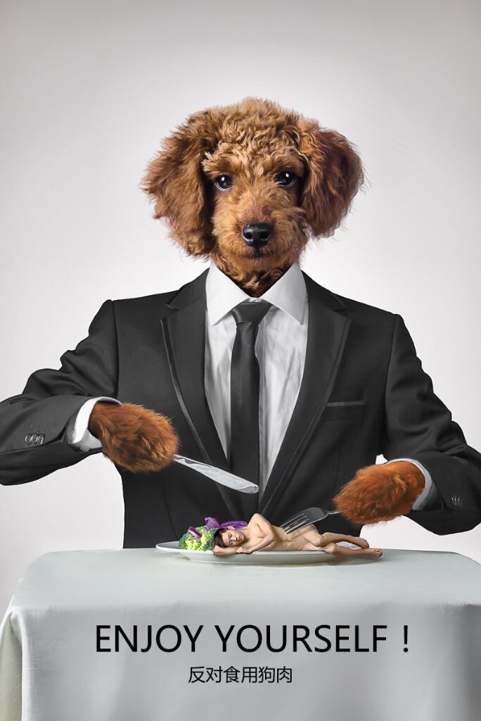 这是我的爱犬安迪的处女作，哈哈。狗狗真的是一种有灵性的动物，它和人类之间是有交流，有感情的。杀死狗狗，不仅仅只是杀生，更是杀死人和狗狗之间的情感，这是残忍的。