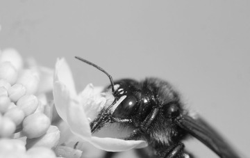 DSC09113_副本_副本.jpg