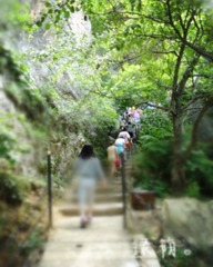 绿荫