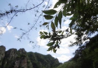 天