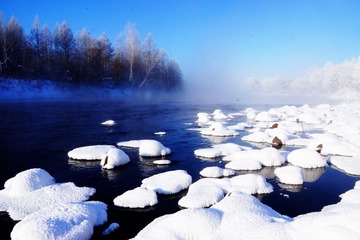 DSC05011.jpg