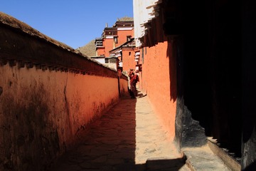 IMG_5802.JPG