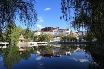 IMG_9484.JPG