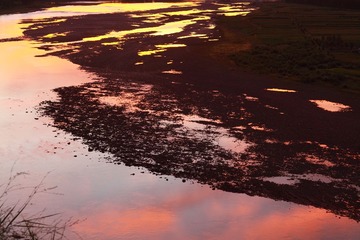 IMG_6764.JPG