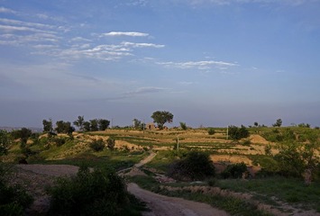 _DSC0762.jpg