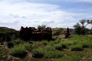 _DSC0551.JPG