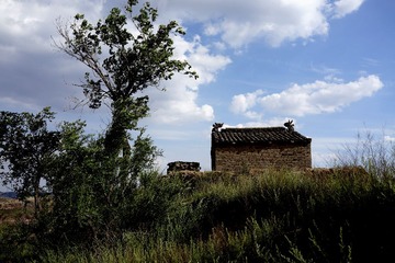 _DSC0584.JPG