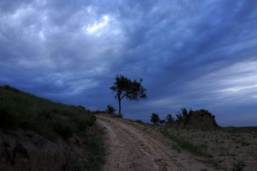_DSC0604.JPG