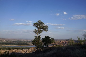 _DSC3425